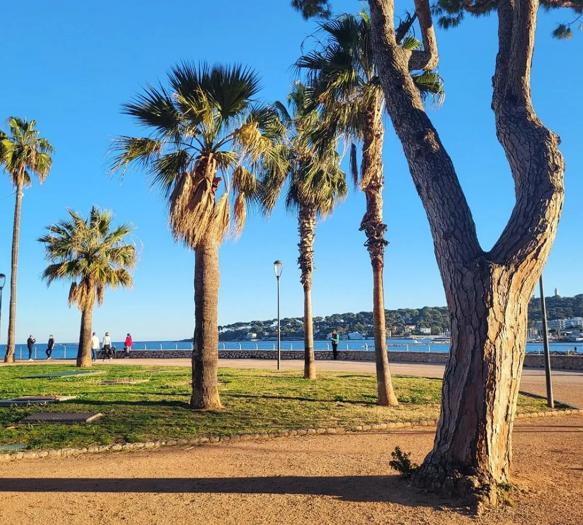 Appartement Center Of Antibes, Les Amaryllis - 3 Rooms, 5 Minutes From The Beaches